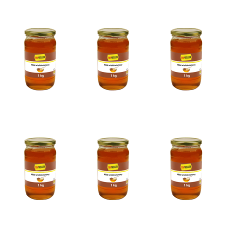 TOPSELLER Miód Wielokwiatowy 1 kg X6