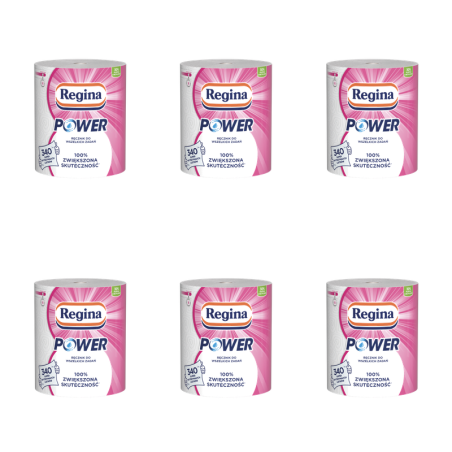 Ręcznik papierowy Regina Power 1 rolka X6