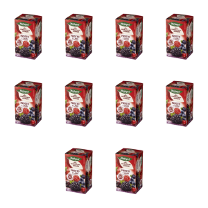 Herbaciany Ogród herbatka owocowa prosto z lasu 20tb/50g X10