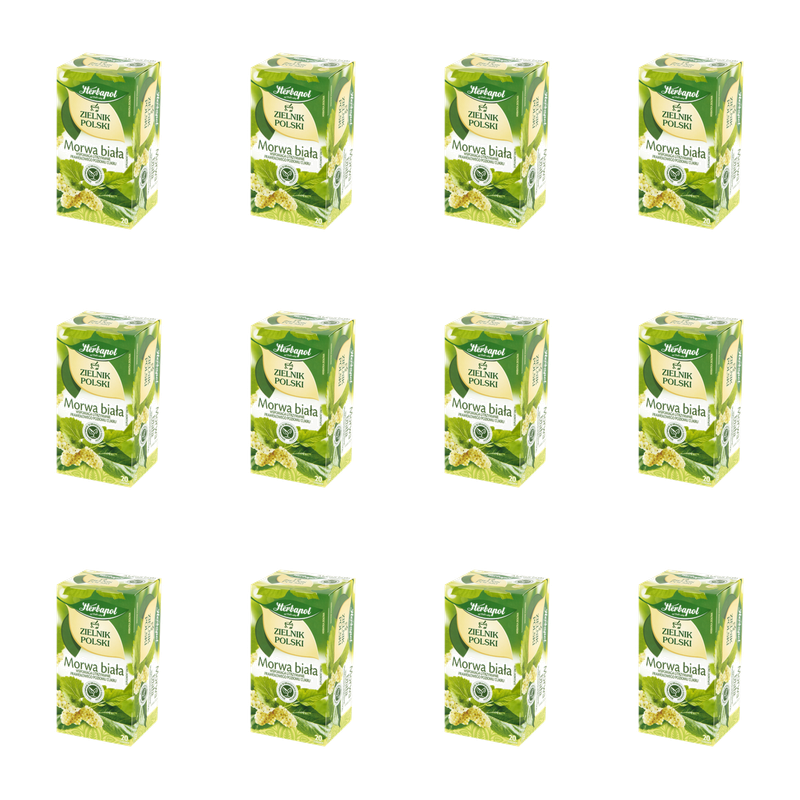 Zielnik Polski morwa biała 20tb/40g X12