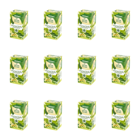 Zielnik Polski morwa biała 20tb/40g X12