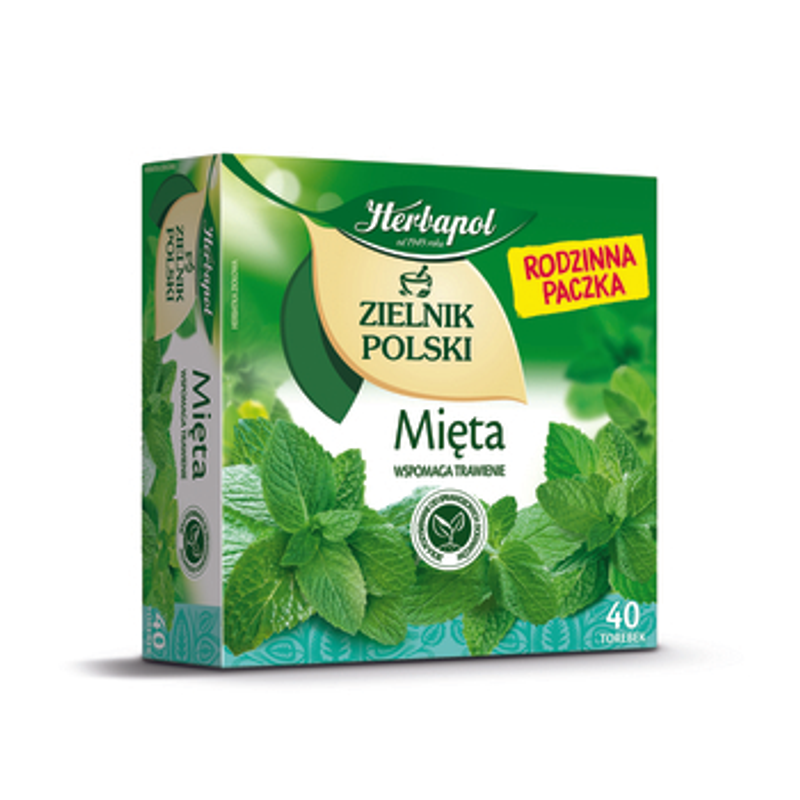 Zielnik Polski Mięta 40tb x 2g
