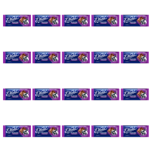 E.Wedel Czekolada mleczna jagodowa 100g X20