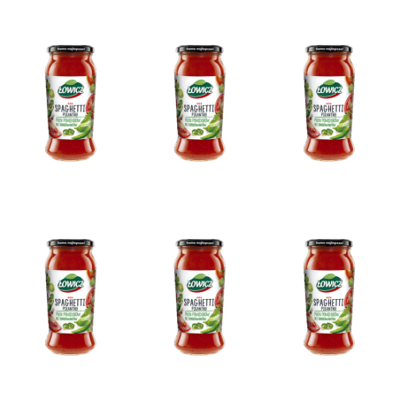 Łowicz Sos spaghetti pikantny 500 g X6