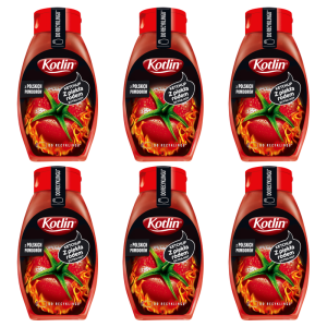 Kotlin Ketchup z piekła rodem 450 g X6