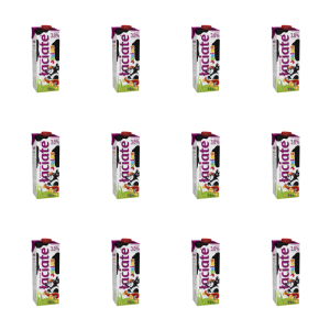 Mleko UHT Łaciate Junior 3,8% 1L X12