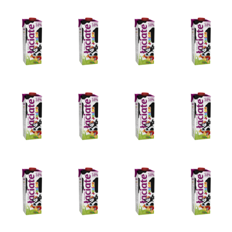 Mleko UHT Łaciate Junior 3,8% 1L X12