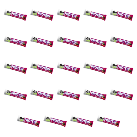 Go On Baton Proteinowy Żurawinowy 50g Sante X24