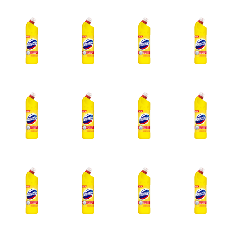 Domestos Citrus Fresh 1L X12