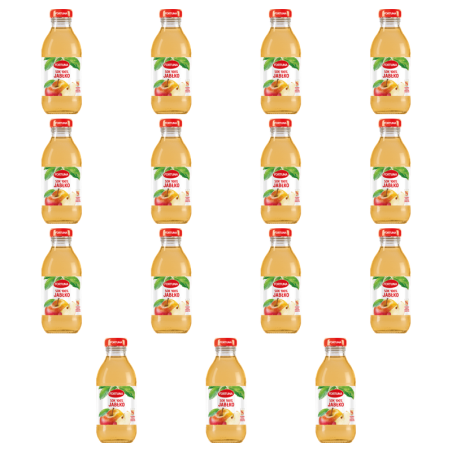 Fortuna Sok 100% jabłko 300 ml X15