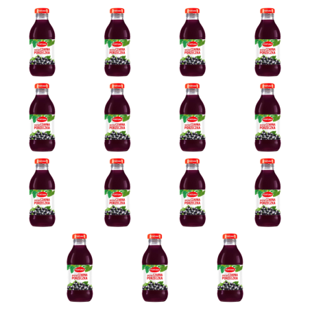 Fortuna Nektar czarna porzeczka 300 ml X15