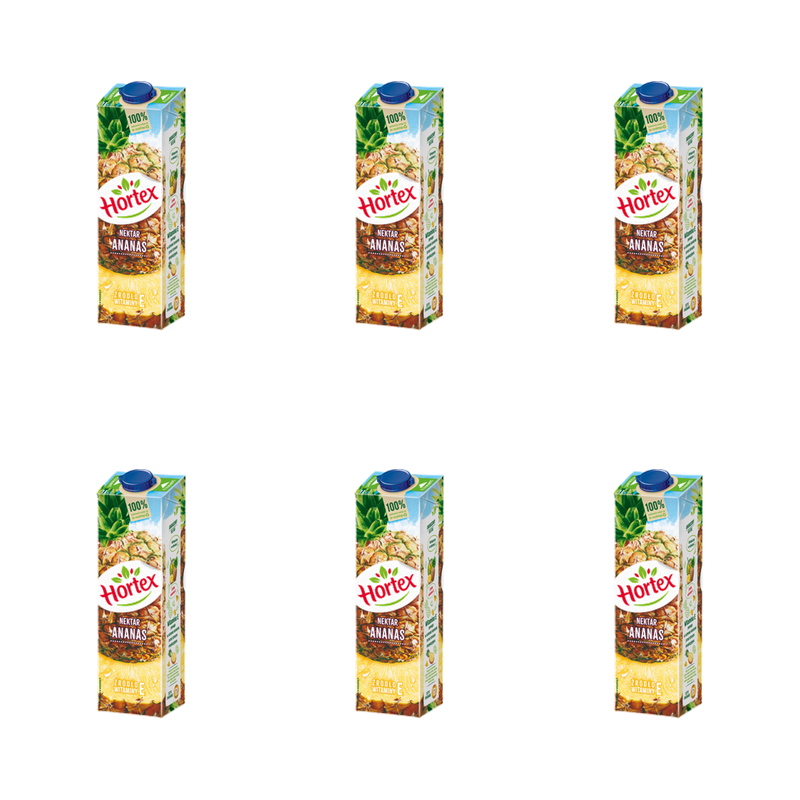 Hortex Nektar ananas karton 1 l X6
