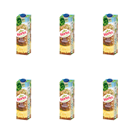 Hortex Nektar ananas karton 1 l X6