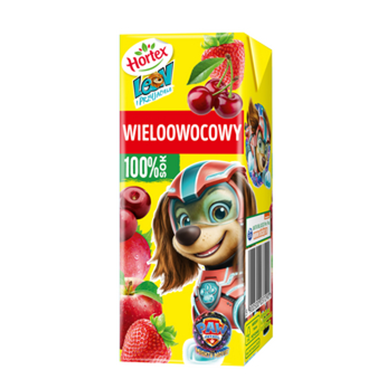 Hortex Leon Sok 100% wieloowocowy karton 200 ml