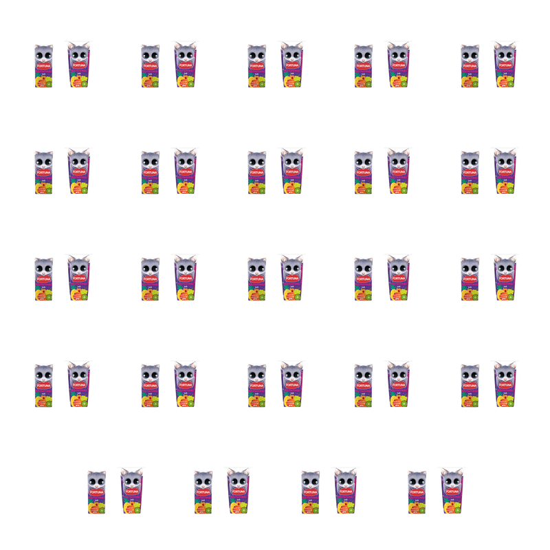 Fortuna Sok multiwitamina 200 ml X24