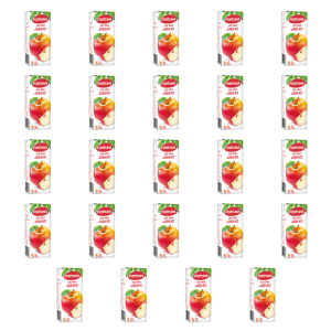 Fortuna Sok 100% jabłko 200 ml X24