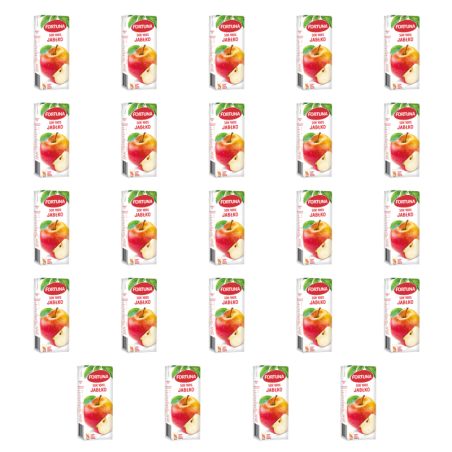 Fortuna Sok 100% jabłko 200 ml X24