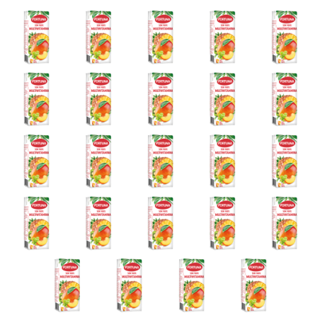Fortuna Sok 100% multiwitamina 200 ml X24