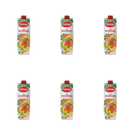 Fortuna Sok multiwitamina 1 l X6
