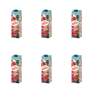 Hortex Sok 100% Multiwitamina wzbogacony w 9 witamin karton 1L X6