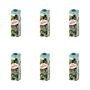 Hortex Nektar czarna porzeczka karton 1 l X6