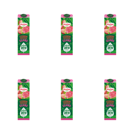 Hortex Tropical Duo Napój Czerwone winogrono gujawa karton 1L X6