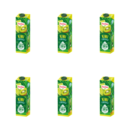 Hortex Tropical Duo Napój Kiwi limonka karton 1L X6
