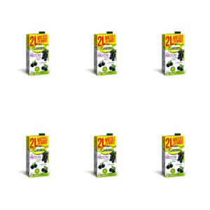 Garden Napój czarna porzeczka 2 l X6