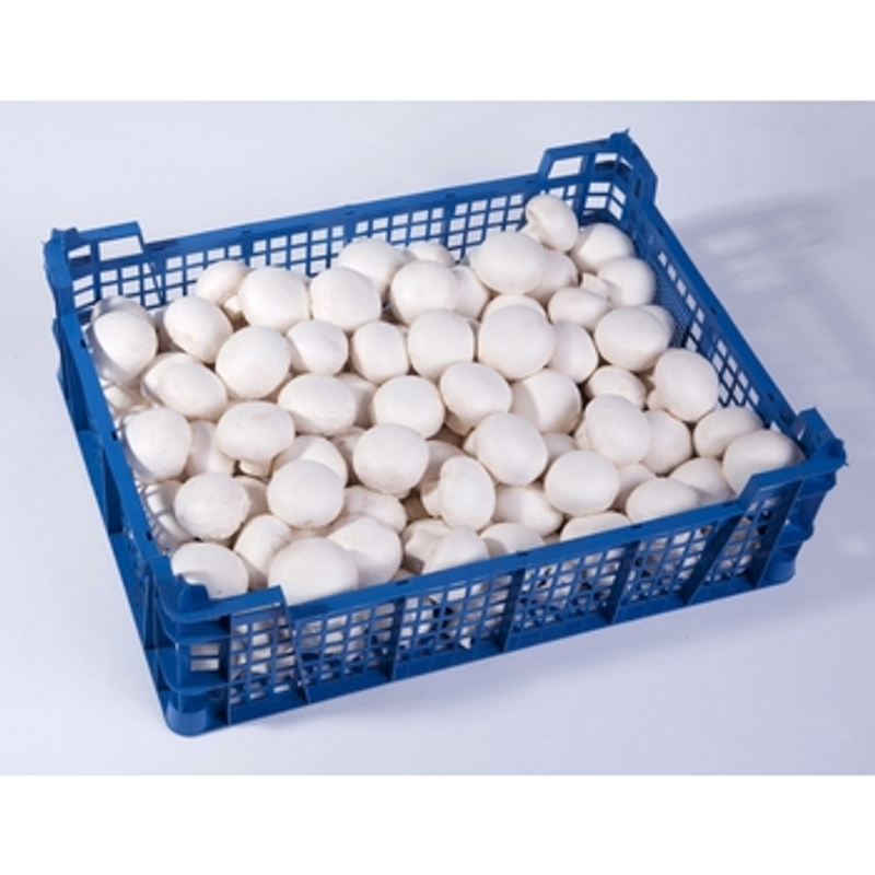 PIECZARKA POLSKA 3KG