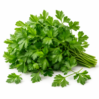 Herbes