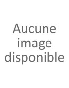 Anchois